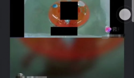 短视频色,捕捉光影瞬间，展现视觉盛宴